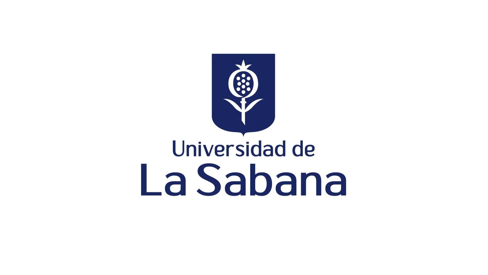 agreement-imgi-74-universidad-de-la-sabana-6-naolyx.jpg